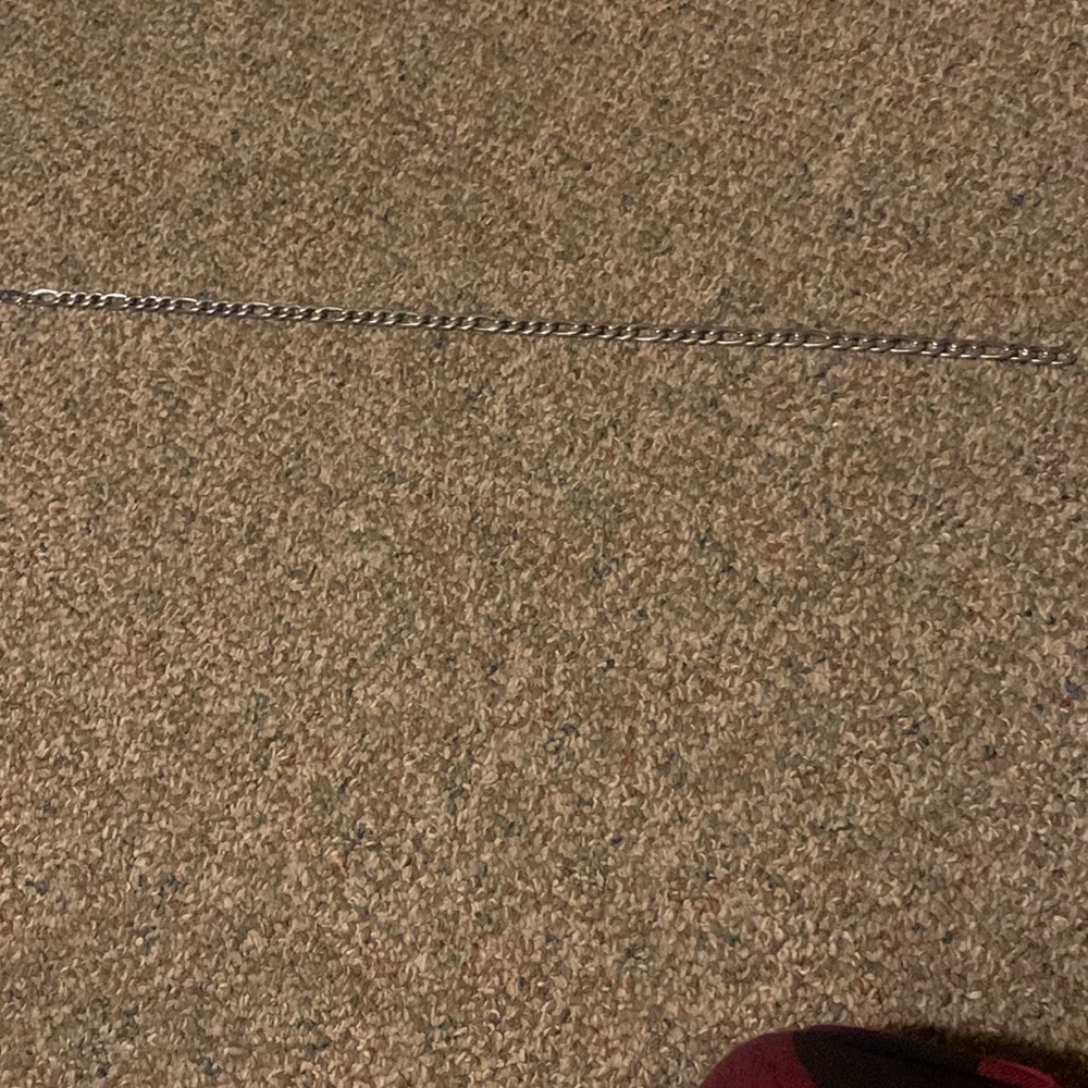 Stainless steel chain